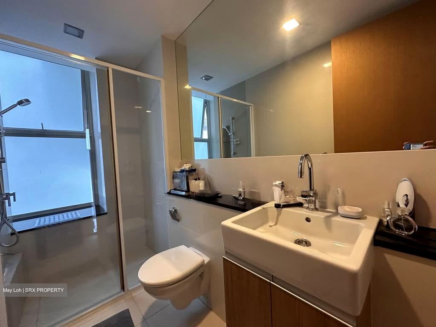 Montview (D10), Condominium #579696911